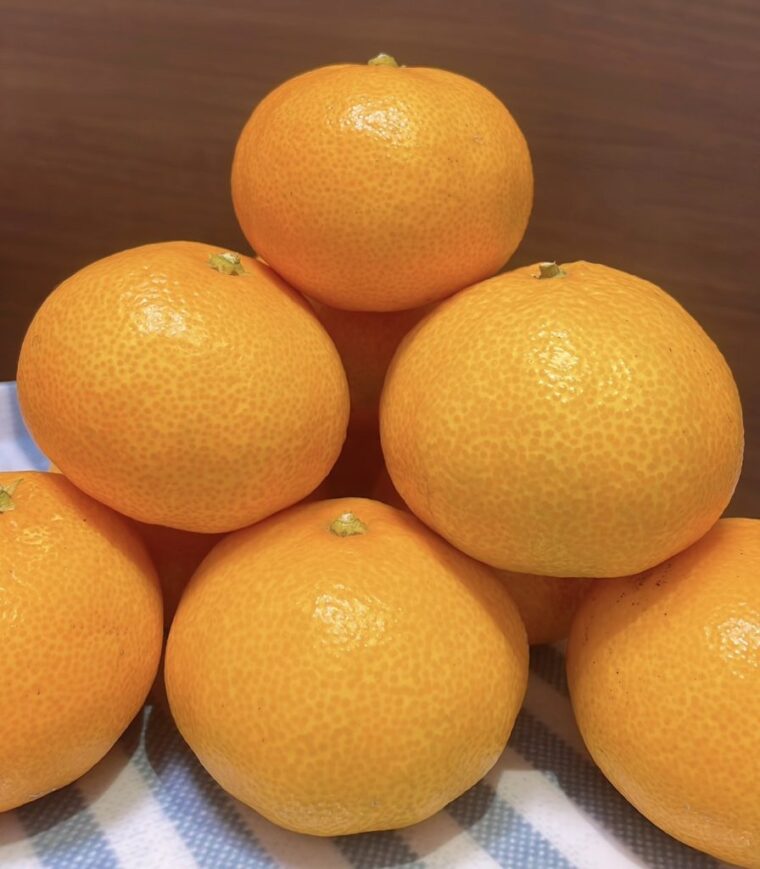 子育て中のママさんも🤱