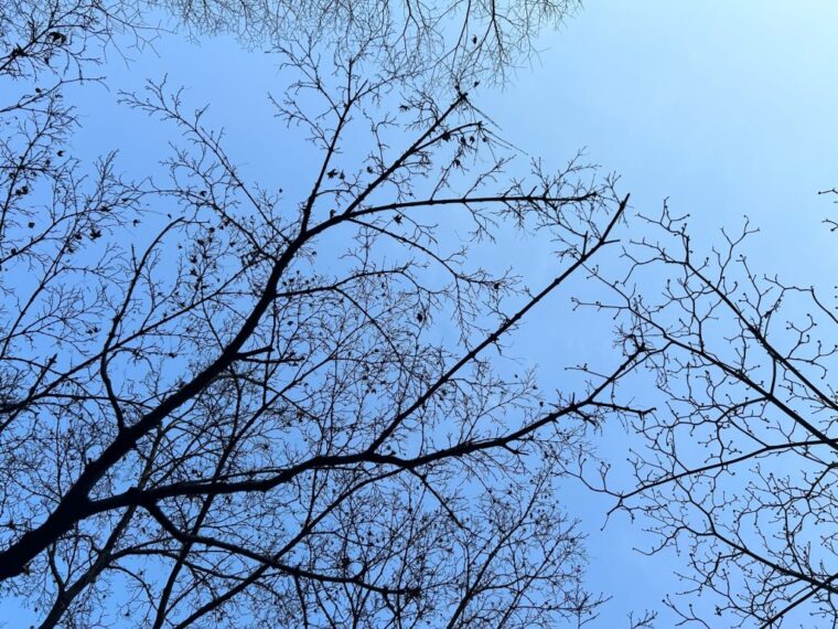 暖かいお部屋で稼ぎませんか？♬