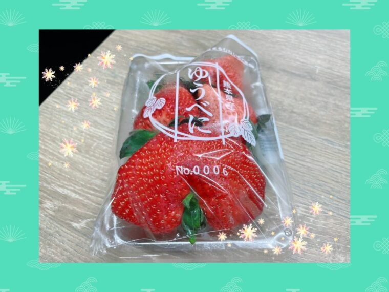 お正月休みに入りますね！