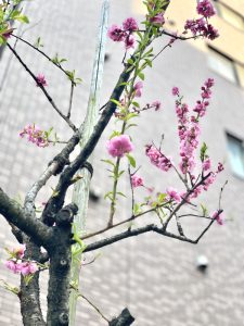 女性の皆様のご希望を一緒に叶えます