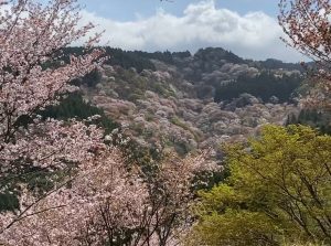 11日で26万円👀✨