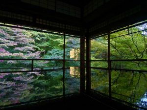 行楽シーズン到来！