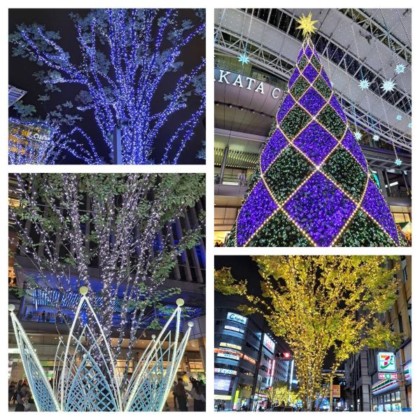 ようやく朝晩は肌寒くなってました🤧