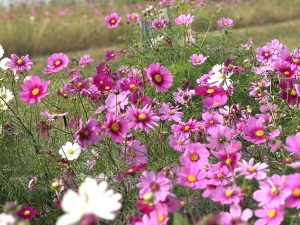 楽しい息抜き♬