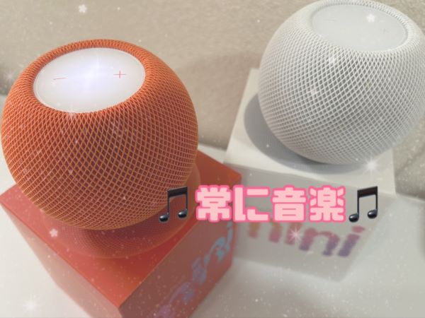 🎵チャットルームでも事務所でも音楽が🎵 画像1