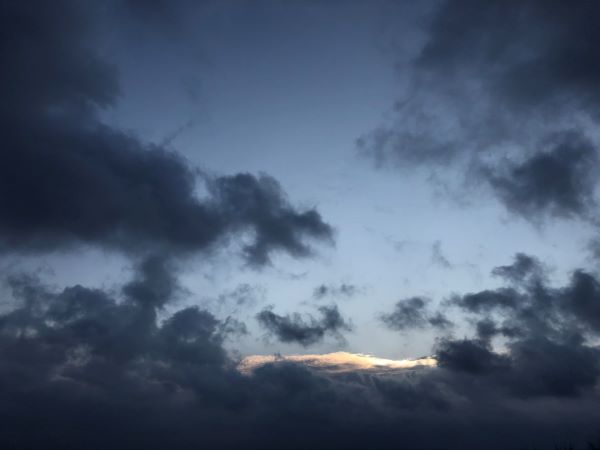 初心にかえって…🌸