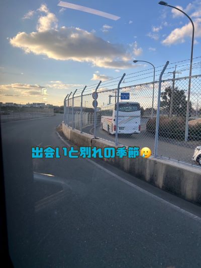 出会いと別れの季節🌸 画像1