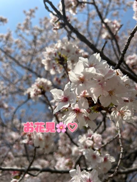 🌸桜を見ながら…🌸