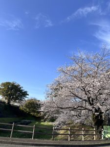 新生活🌸 画像1