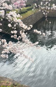 小倉城🌸