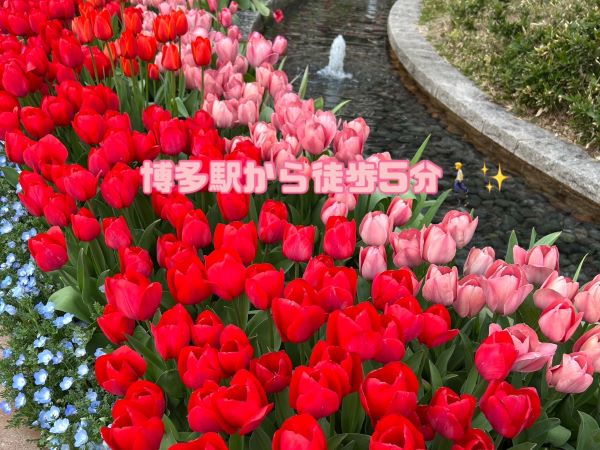 🎏5月スタートです🎏