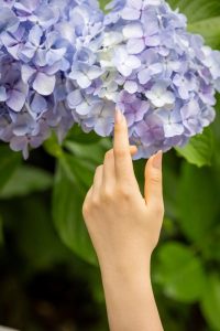 アリスの教育システム♪