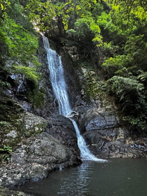 猛暑だからこそ！