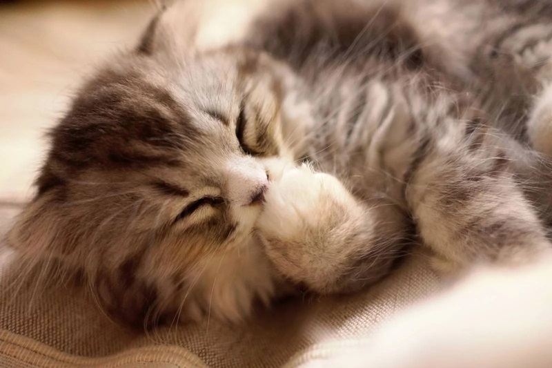 普通の女性が活躍できます