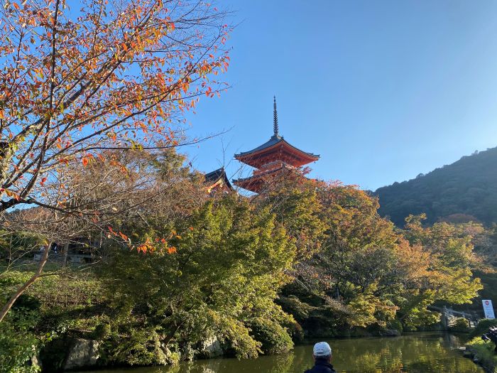 新人ボーナス〇万円✨