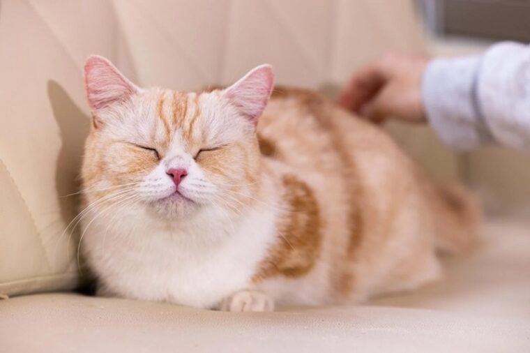 あなたの稼ぎたい金額は？