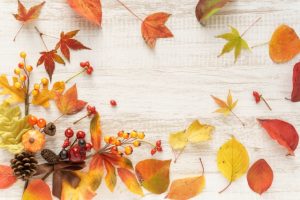 実は9月って……