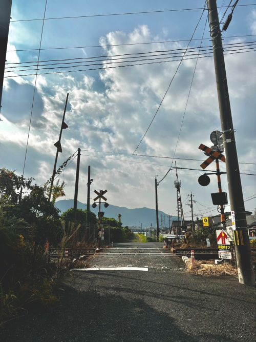 食事制限なしのダイエット中✨