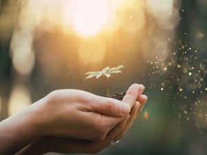 チャットレディで大事な事6選！！！