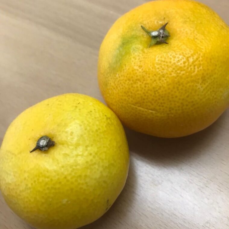 【札幌駅前店】月いちのリフレ♡