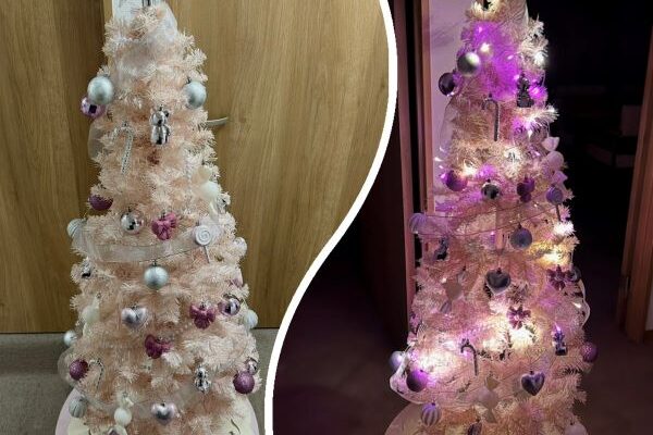 ♡今年も恒例の…🎄♡