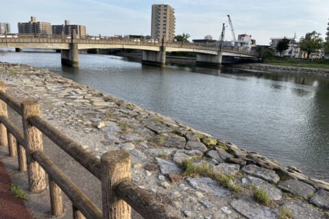 タイミングが重要です👀✨