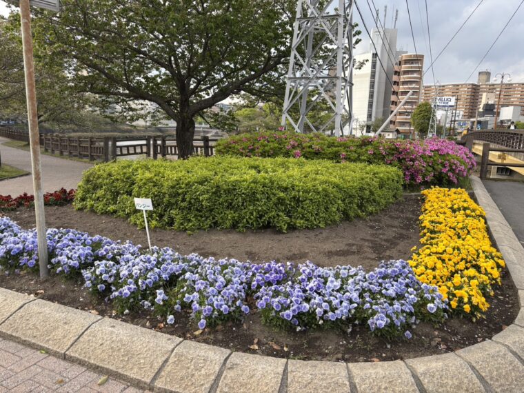 モデルさん大大大募集中です！