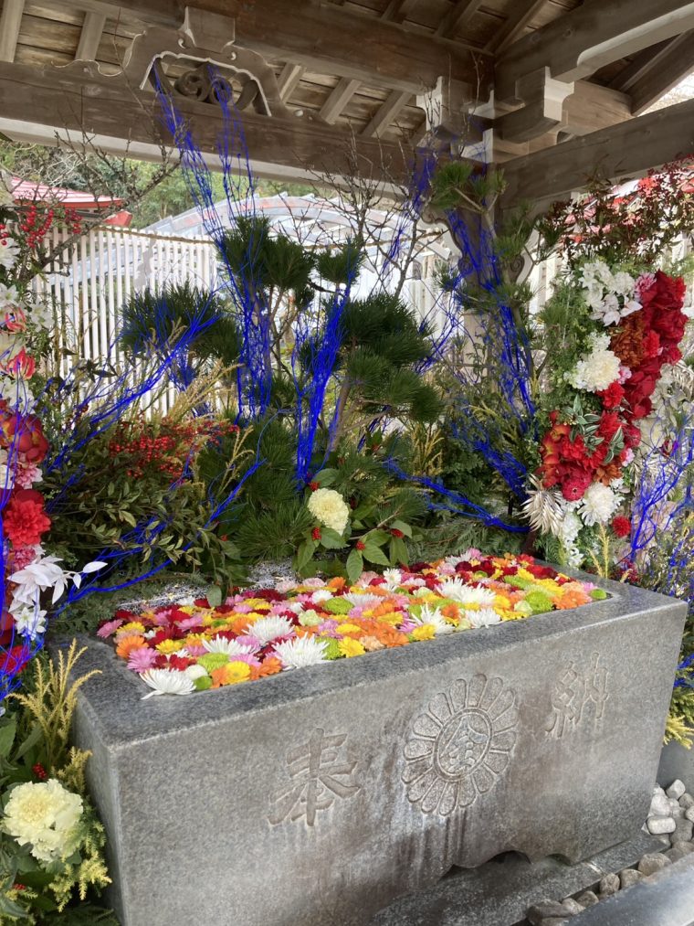 チャットは１８歳からOK👯‍♀️＊。