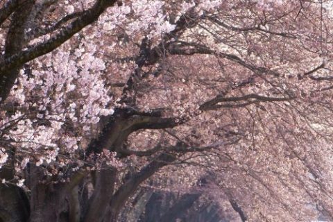 予定が変わりやすくてもOK! 画像1