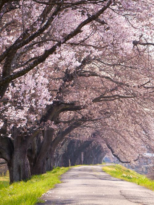 予定が変わりやすくてもOK！