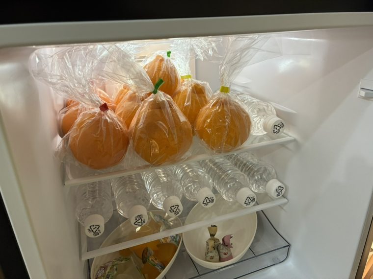 嬉しい差し入れをいただきました🍊 画像2